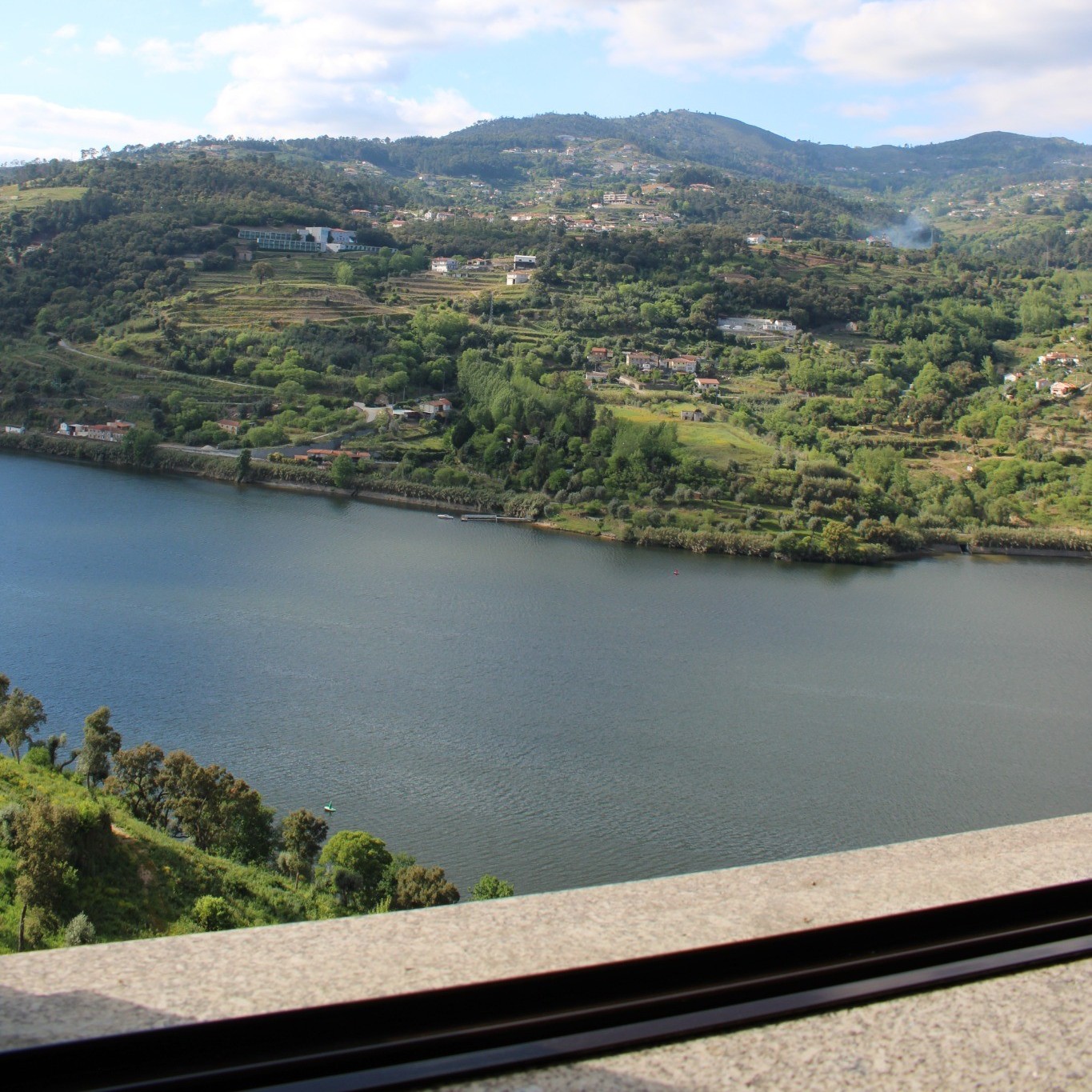 IMG_9969.JPG_compressed