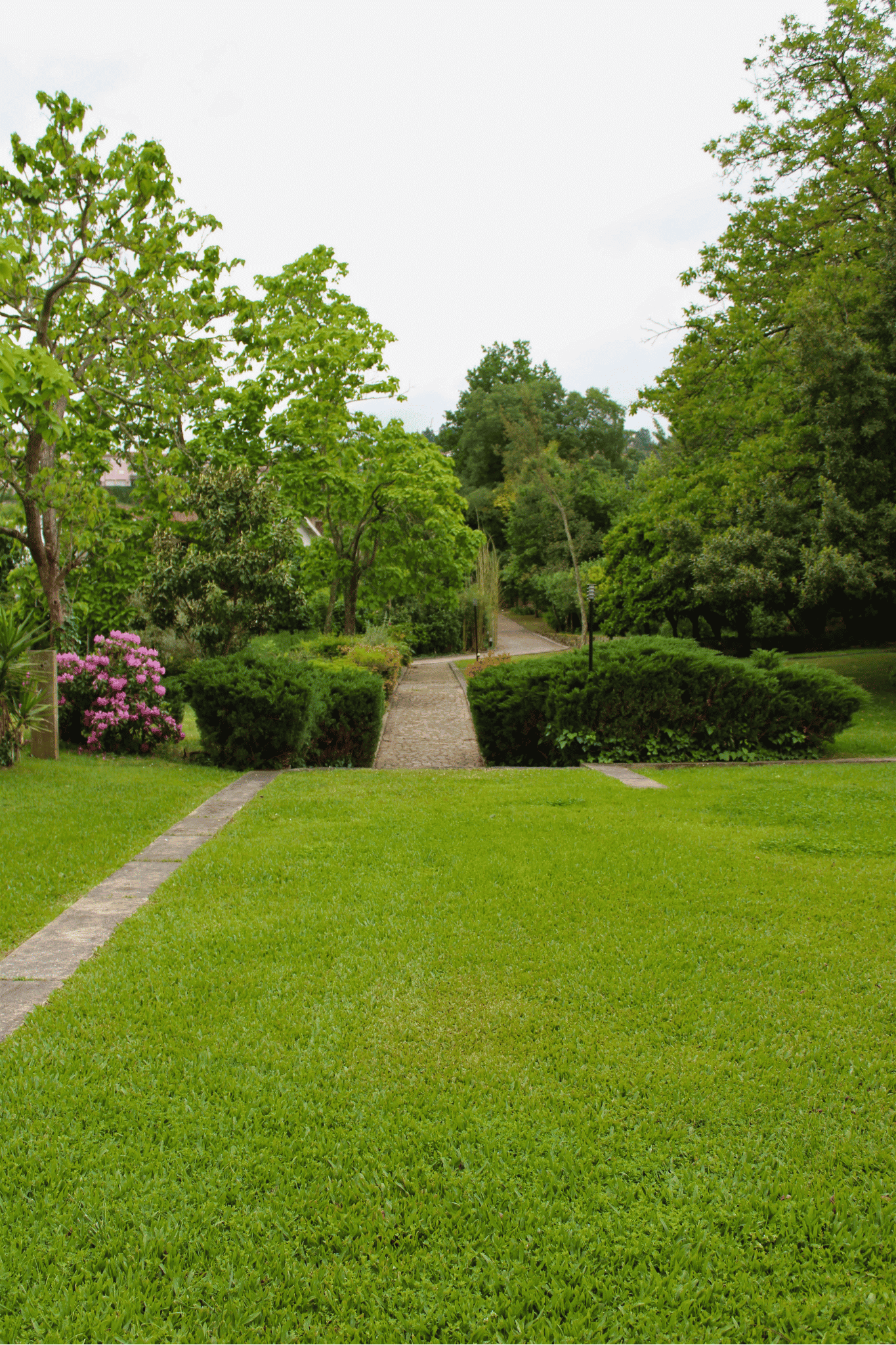 fotos site nyra (1)